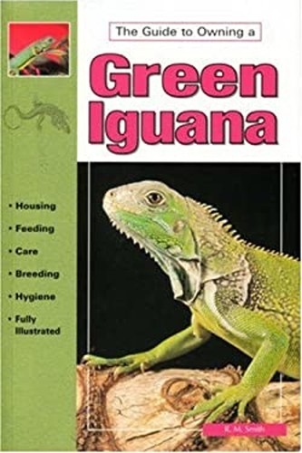Caring for green iguanas - caring,