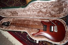 Patrick Eggle electric guitar with original hard case