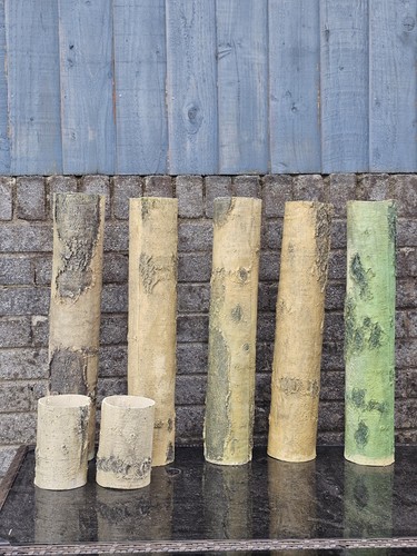 Fish tank logs upright - tank,