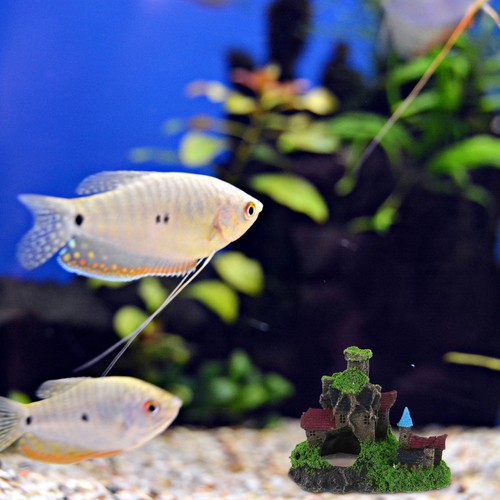Fish tank landscaping castle - fish,