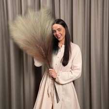 110cm Tall Pampas Grass