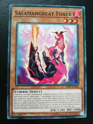 Yugioh card salamangreat - yugioh,