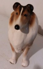 Beautiful Collie Dog china