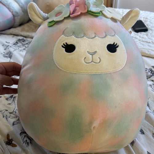 Arabella the llama - the,