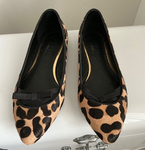 Office leopard animal - office,