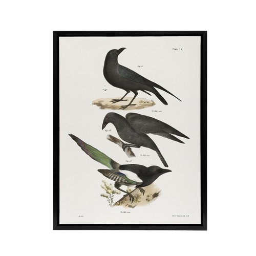 James ellsworth kay - james, raven