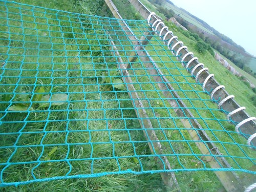 4ft strong cargo scramble - cargo,