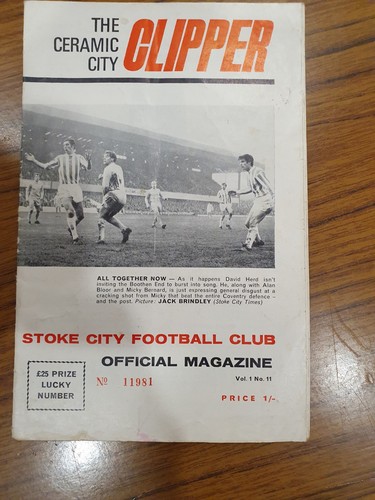 Stoke city manchester united - stoke,