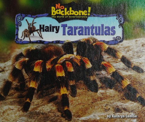 Hairy tarantulas backbone - hairy,