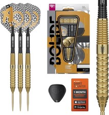 Target Darts Bolide Envy 02