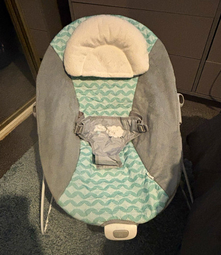 Ingenuity vibrating baby