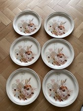 Vintage Poole Summer Glory