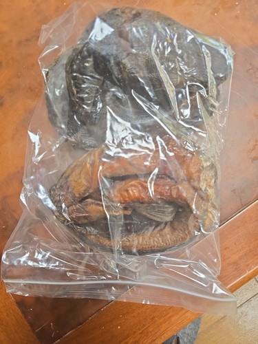 Stock dried catfish big - stock, (big