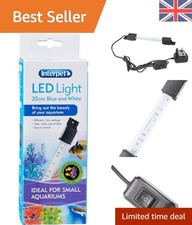 Vibrant Blue & White LED Light