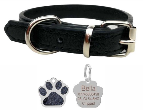 Vibrant leather dog collar - leather,