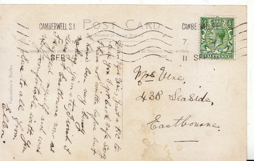 Genealogy postcard vine - -,