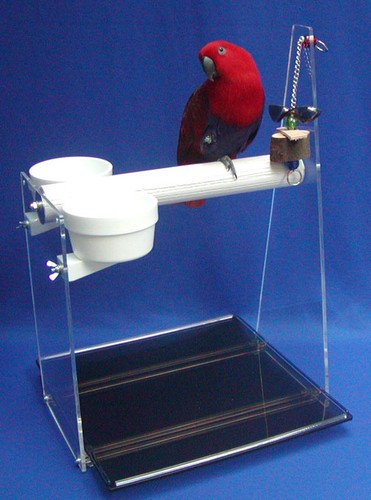 Table top pretty parrot - top, perch