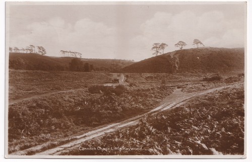 Cannock chase little haywood - cannock,