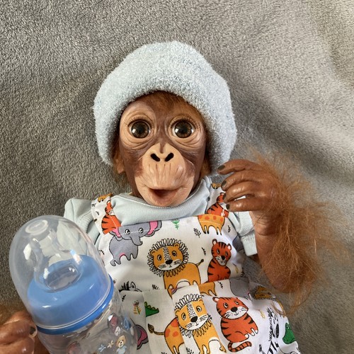 Ashton drake - 🐒💖ashton,