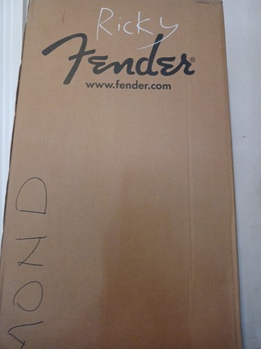 Fender dreadnought - fender,