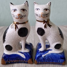 Miniature Black & White Cat