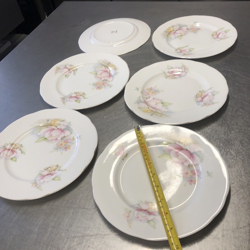 Set plates - of, 6