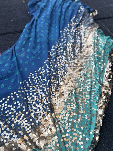 Dramatic bollywood saree with - dramatic,