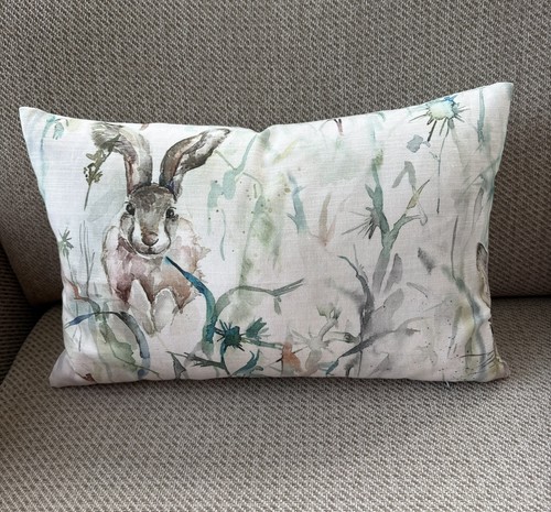 Jack rabbit hare - rabbit, /