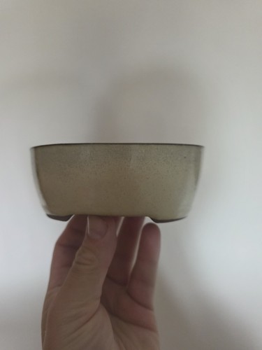 Bonsai chinese pot - bonsai,