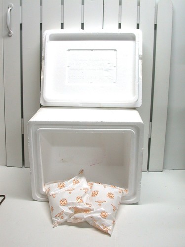 Creative packaging styrofoam - creative,