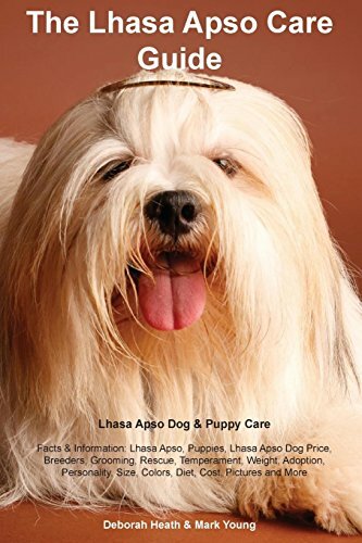 Lhasa apso care guide - care, guide.