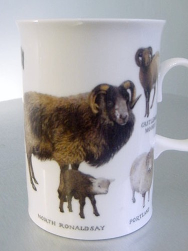 Dunoon bone china mug - dunoon,
