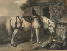 Antique Engraving “Scotch