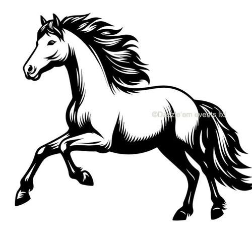 Horse box vinyl sticker - horse,