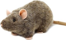 Reuben The Rat - 7 Inch
