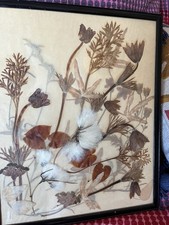 Vintage Wooden Framed English Countryside Dried Pressed Flowers 15 x 12”