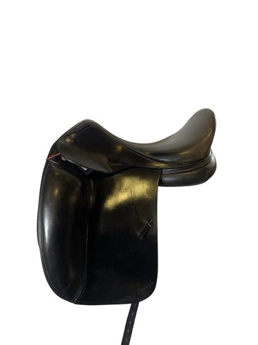 Amerigo cervia dressage - cervia, black