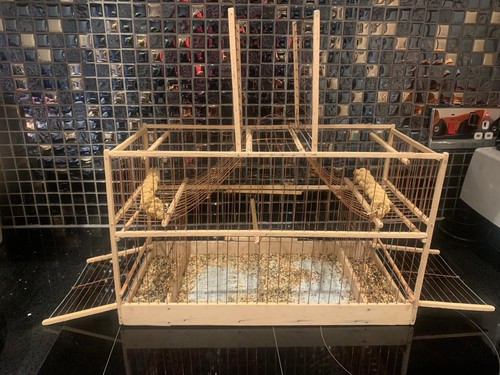 Bird cage aviary - bird,