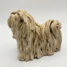Almazetta Casey Komondor