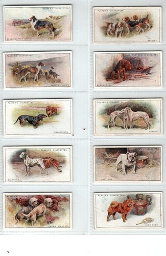 Players dogs scenic - players:, (scenic