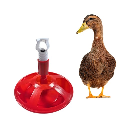 Automatic chicken water cup - water,