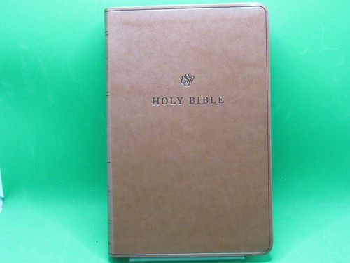 Esv value thinline bible - value,
