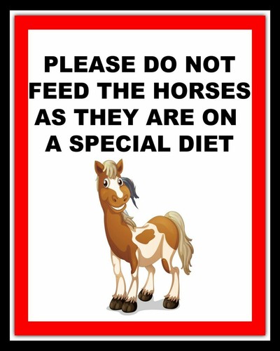 Please not feed the horses - feed,