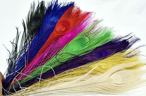 30cm dyed peacock feathers - dyed,