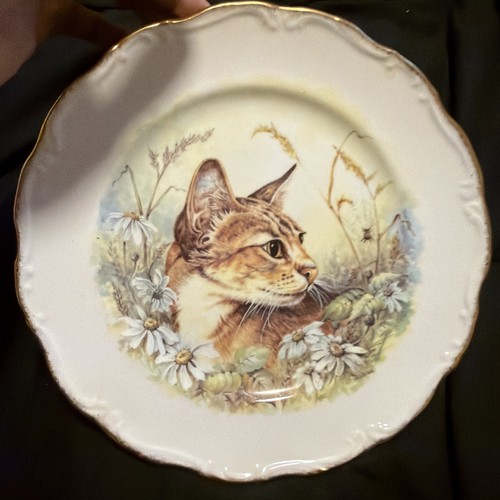 Royal vale collectable - royal,