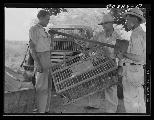 Coffee county alabama - coffee,