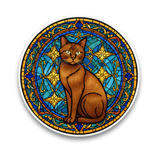 Cute European Burmese Cat Faux