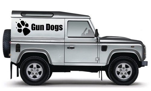 100cm land rover - land, gun