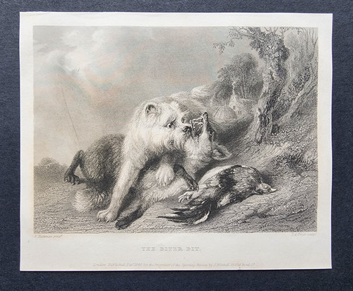 Antique 1840 print hunting - -,