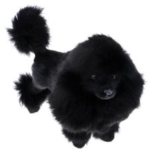 Realistic Poodle Soft Plush